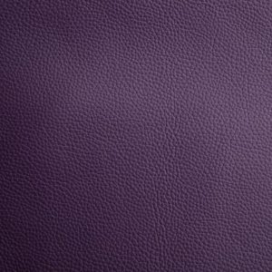 Plum Leather
