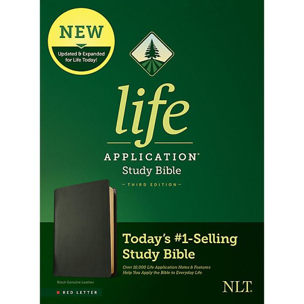 Life Application Study Bible