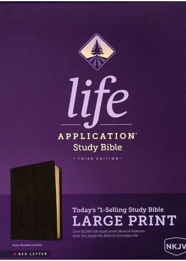 Life Application Study Bible - Large Print