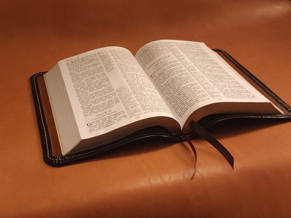 Black sheepskin leather LSB Wide Margin Bible with honey brown perimeter stitching and two ribbons - Image 12