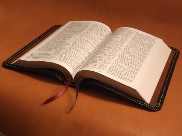 Black sheepskin leather LSB Wide Margin Bible with honey brown perimeter stitching and two ribbons - Image 13