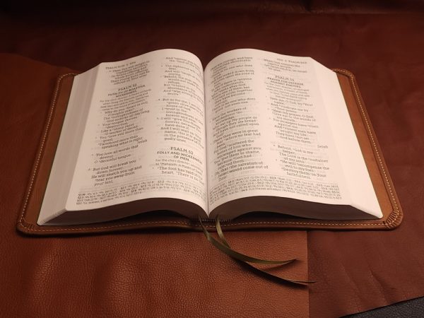 Brown Sheepskin Leather Interleaved Bible, Journaling Edition with Tan Stitching and Two Ribbons - Image 4