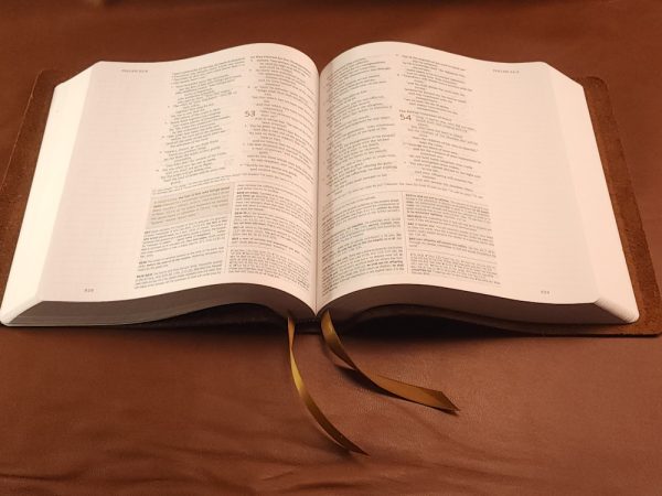 Chocolate brown cowhide Interleaved Bible, Journaling Edition with two ribbons in a rugged leather style - Image 3