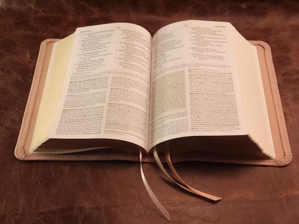 LIMITED EDITION Dusty Pink Sheepskin Journal the Word Bible with Ivory Stitching and Three Ribbons - Image 9