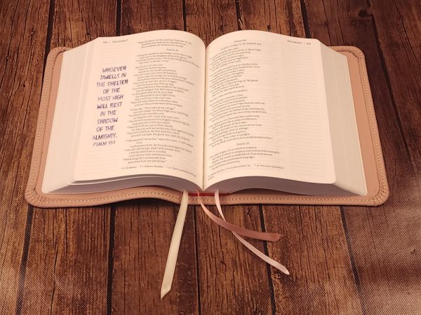 LIMITED EDITION Dusty Pink Sheepskin Journal the Word Bible with Ivory Stitching and Three Ribbons - Image 8