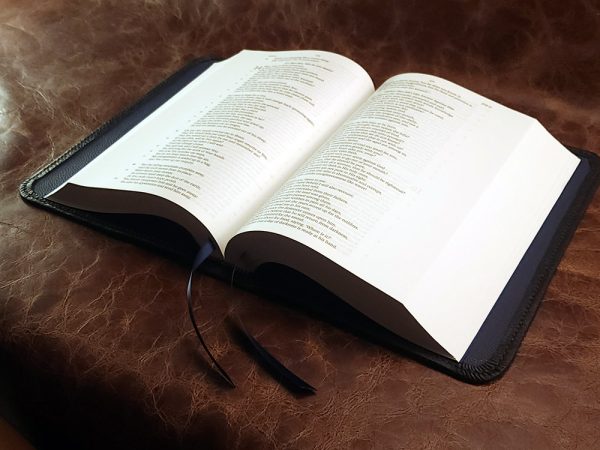 Black cowhide leather ESV Journaling Study Bible with navy blue perimeter stitch and two ribbons - Image 3